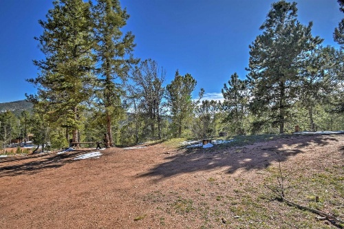 Cabin with Mtn Views - 5 Mi to Mueller State Park! image 21